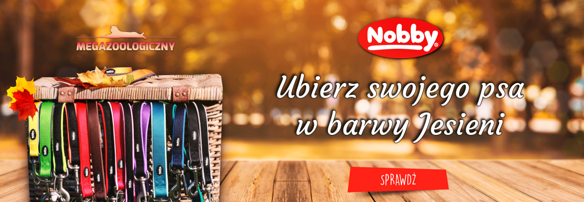 Wybierz jesienne barwy z marką Nobby - smycze, szelki i obroże dla psów