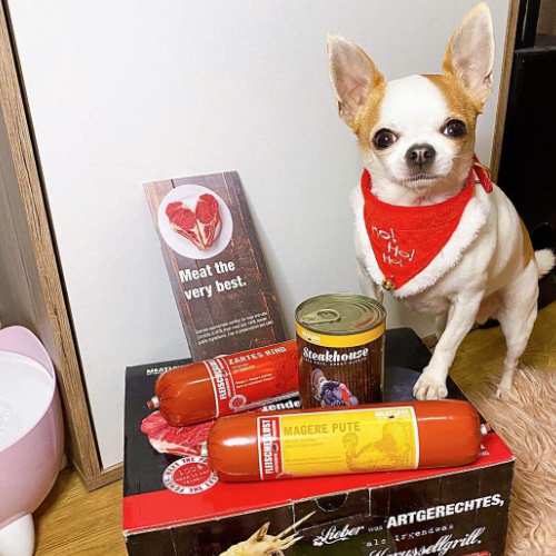 MEATLOVE W ZESTAWIE DLA PSA!