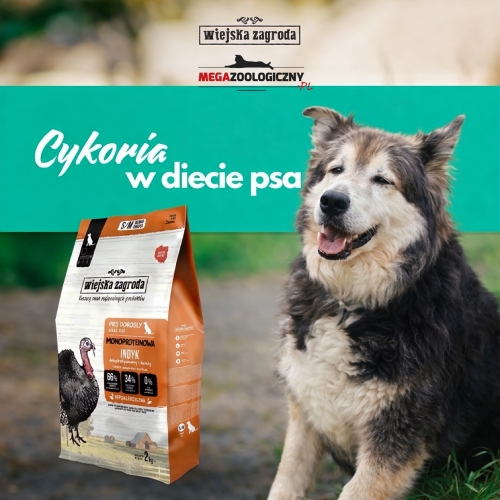 Wiejska Zagroda z indykiem dla psów!