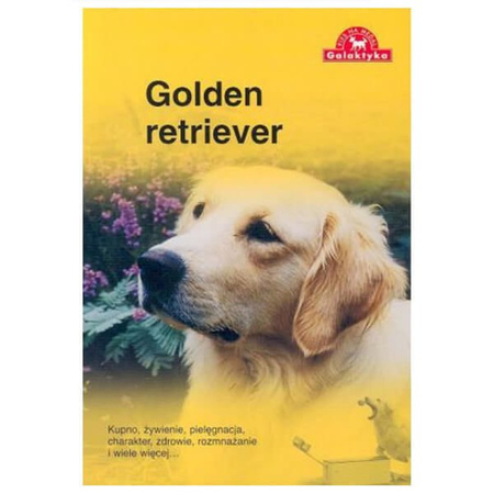 Golden retriver