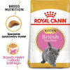 Royal Canin British Shorthair Kitten karma sucha dla kociąt, do 12 miesiąca, rasy brytyjski krótkowłosy 2kg