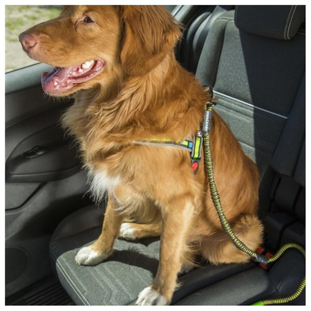 Smycz 2w1 idealeash travel maxi dla psa