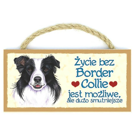 Power gift magnez z pupilem - border collie