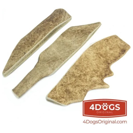 Poroże daniela gryzak dla psa XL