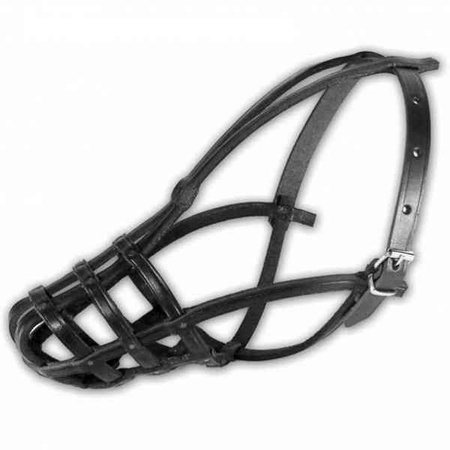 Dino kaganiec skórzany gwoździowany 2 jamnik