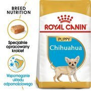 Royal Canin Chihuahua Puppy karma sucha dla szczeniąt do 8 miesiąca, rasy chihuahua 1,5kg