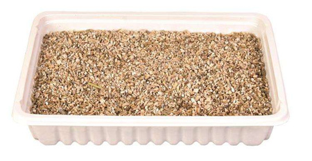 TRAWA DLA KOTA W POJEMNIKU 100gr