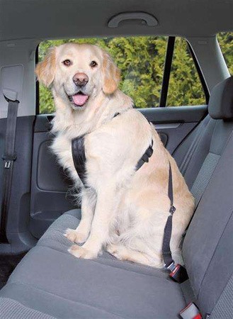 SZELKI SAMOCH. DLA PSA L