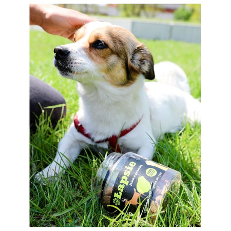 Łapsie jeleń z gruszką dla psa 300 g