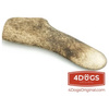 Poroże daniela gryzak dla psa M