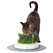 Zestaw trawa ogrodowa Catit Senses, 5.5 x 37 x 37 cm