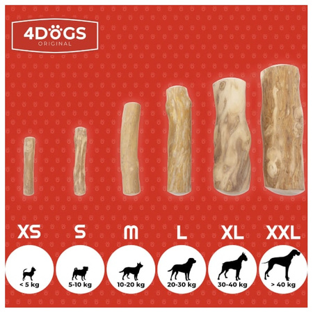 4DOGS gryzak z drzewa kawowego dla psa S