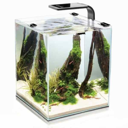 Aquael akwarium shrimp set smart ii 19 l 