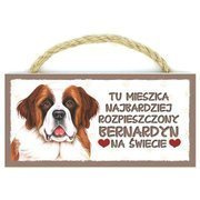 Power gift magnez z pupilem - bernardyn