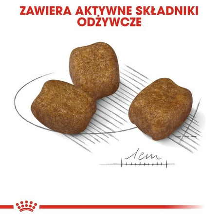 Royal canin mini dental care karma sucha dla psów dorosłych, ras małych, redukująca powstawanie kamienia nazębnego 1kg