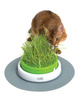 Zestaw trawa ogrodowa Catit Senses, 5.5 x 37 x 37 cm