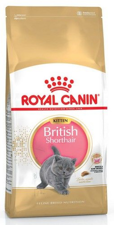 Royal canin british shorthair kitten karma sucha dla kociąt, do 12 miesiąca, rasy brytyjski krótkowłosy 400g