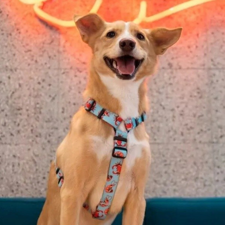 Baylabel Under The Sea smycz regulowana dla psa S/M