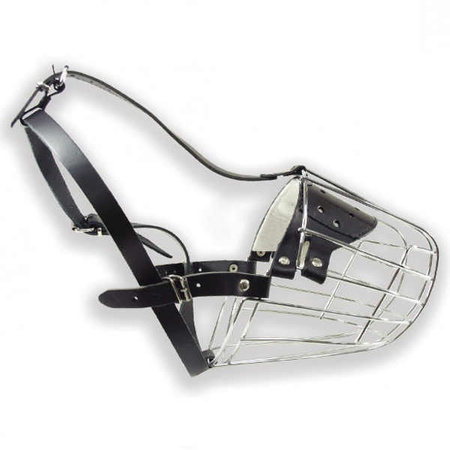 Dino kaganiec metalowy 12 bernardyn