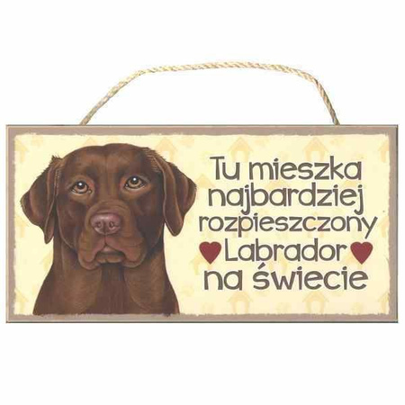 Tabliczka ozdobna dekoracyjna labrador brązowy 25x12,5 cm