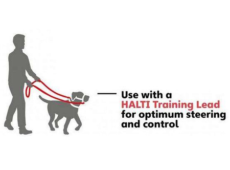 Halti kantarek - obroża uzdowa rozmiar 2 czerwona