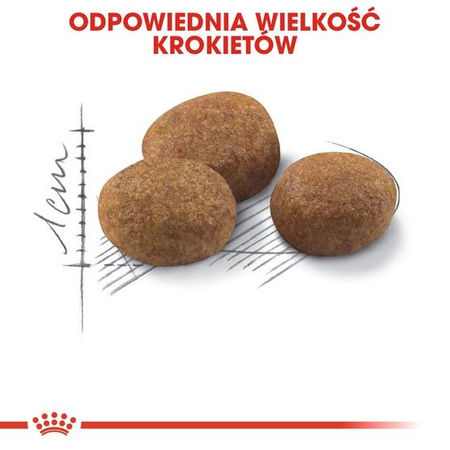 Royal canin sterilised 7+ karma sucha dla kotów dorosłych, od 7 do 12 roku życia, sterylizowanych 3,5kg