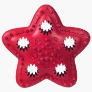 Barry King gwiazda na przysmaki, czerwona 12,5cm