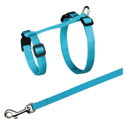 SZELKI DLA DUZEGO KOTA