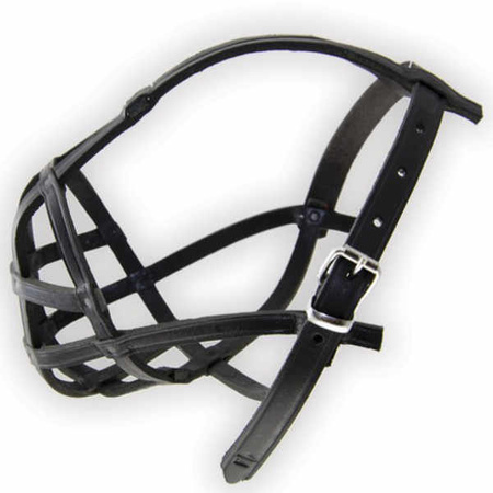 Dino kaganiec skórzany nitowany a1 shih-tzu