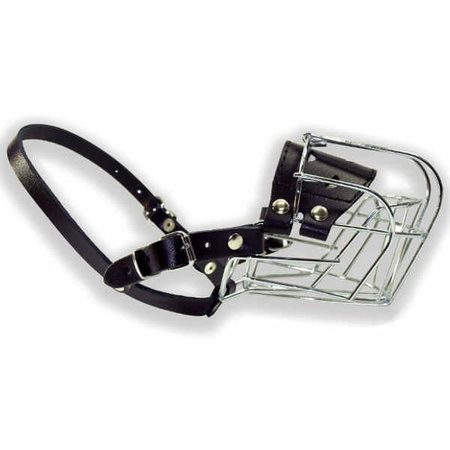 Dino kaganiec metalowy 1 pudel