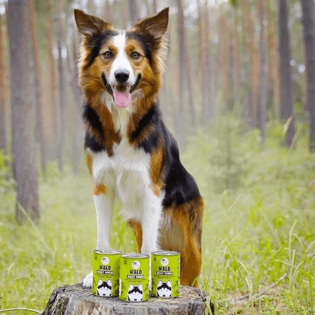 EAT SMALL Wald karma mokra z insektów dla psa 400 g