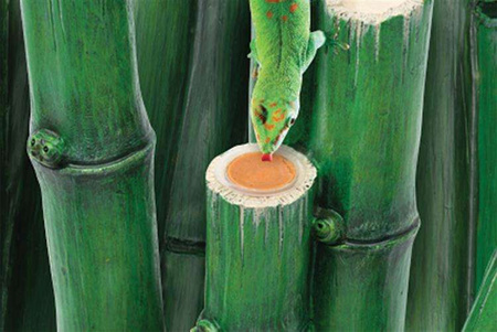 Zestaw las bambusowy , mały 30x30x45cm