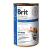BRIT GF VETERINARY DIETS DOG&CAT CAN RECOVERY