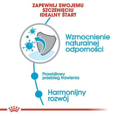 Royal Canin Mini Puppy karma sucha dla szczeniąt, od 2 do 10 miesiąca życia, ras małych 2kg