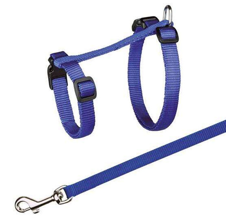 SZELKI DLA DUZEGO KOTA