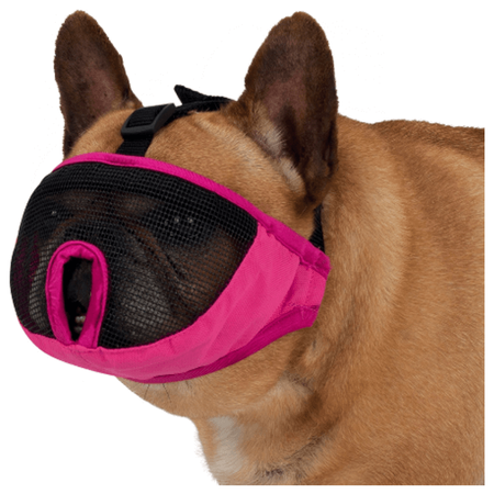 Kaganiec dla psów ras krótkopyskich, poliester, S–M: 24 cm, szary