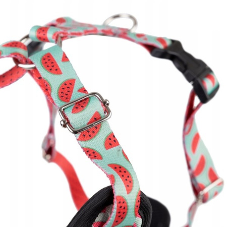 amiplay Discovery BeHappy szelki dla psa Watermelon M