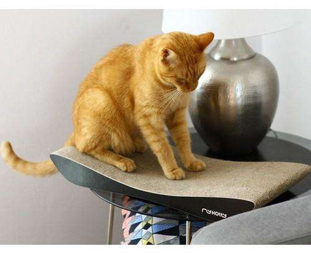 Mykotty drapak tobi czarny