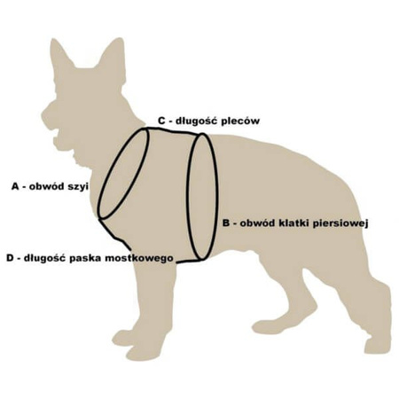 Dingo szelki z cyrkoniami new york dla psa