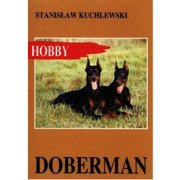 Doberman