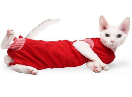 Grande Finale Koszulka pooperacyjna dla kota czerwona 25cm [WET1/KOT]