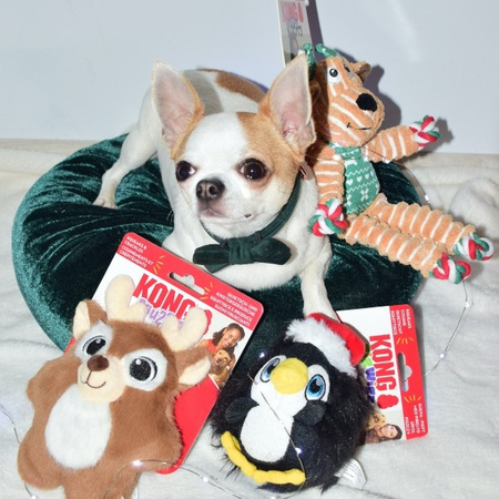 Kong Holiday Zigwigz Penguin zabawka dla psa M