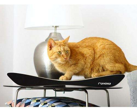 Mykotty drapak tobi czarny