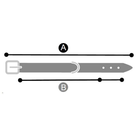 Dingo obroża skórzana potrójnie puklowana dla psa