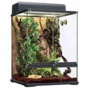 Siedlisko las tropikalny, zestaw średni