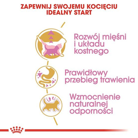 Royal canin british shorthair kitten karma sucha dla kociąt, do 12 miesiąca, rasy brytyjski krótkowłosy 400g