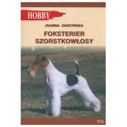 Foksterier szorstkowłosy