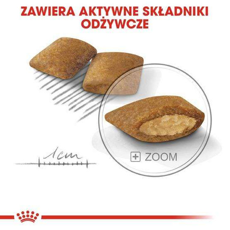 Royal canin mini exigent karma sucha dla psów dorosłych, ras małych, wybrednych 1kg