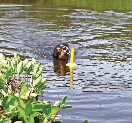 Zabawka dla psa „Mot-Aqua”, 29 cm