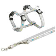 Szelki dla szczeniąt ze smyczą Junior, 23–34 cm/8 mm, 2.00 m, kolor miętowy